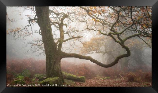 Padley Gorge in the mist. Framed Print by Craig Yates