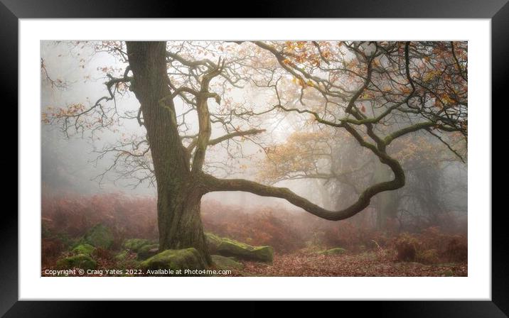 Padley Gorge in the mist. Framed Mounted Print by Craig Yates
