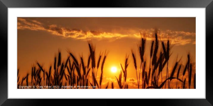 Golden Sunset Panoramic Framed Mounted Print by Craig Yates