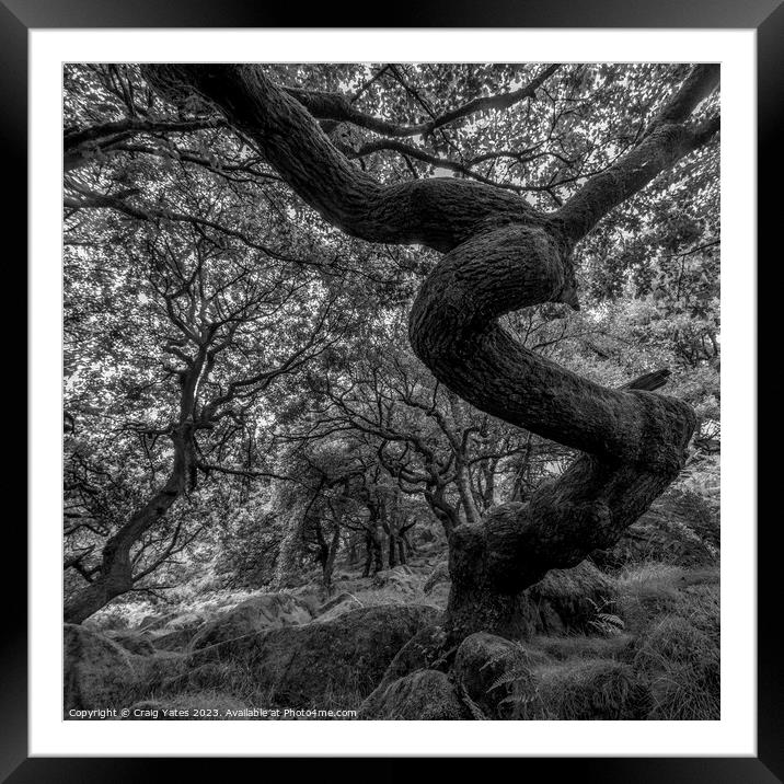 Twisted Gnarly Tree Padley Gorge Framed Mounted Print by Craig Yates
