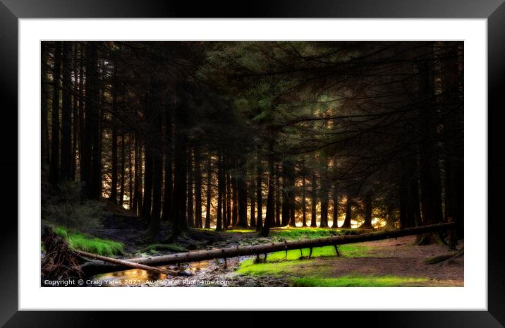 Snake Woodland Morning Light Framed Mounted Print by Craig Yates