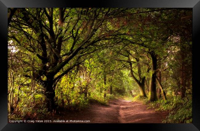 Down The Woodland Path. Framed Print by Craig Yates