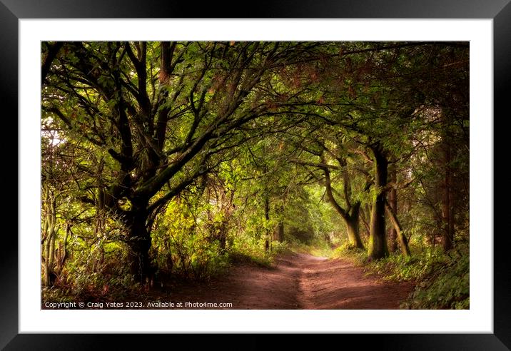 Down The Woodland Path. Framed Mounted Print by Craig Yates