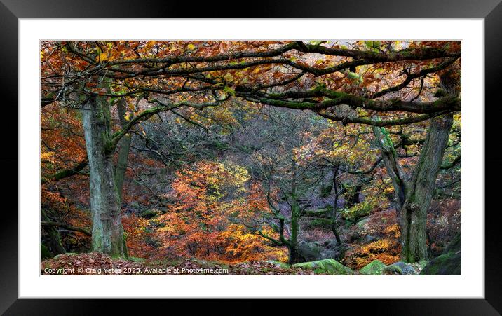 Autumn in Padley Gorge Peak District Framed Mounted Print by Craig Yates