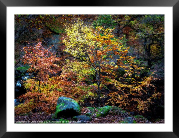 Padley Gorge Autumn Colours Framed Mounted Print by Craig Yates