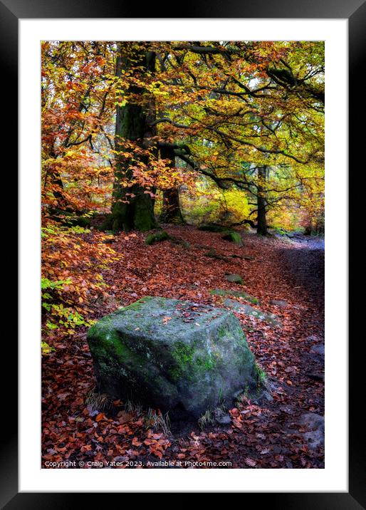Autumn in Padley Gorge Peak District. Framed Mounted Print by Craig Yates