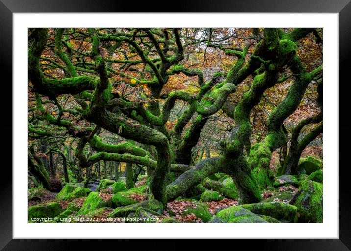 Gnarly Tree Chaos Padley Gorge Framed Mounted Print by Craig Yates