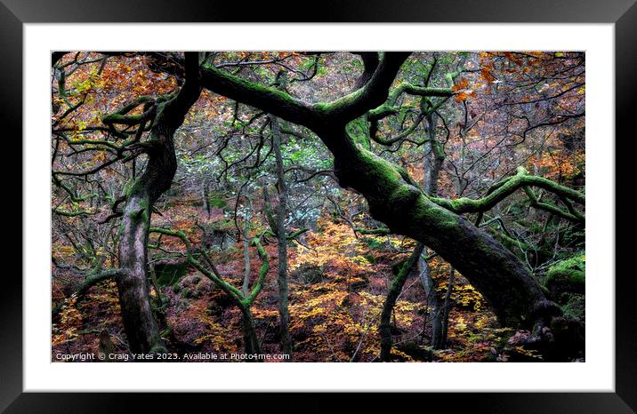 Gnarly Tree Chaos Padley Gorge. Framed Mounted Print by Craig Yates