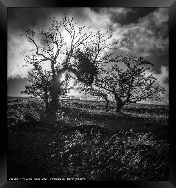 Wolfscote Dale Derbyshire Peak District black and  Framed Print by Craig Yates