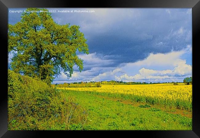 Field View Oil Panting effect Framed Print by Stephen Pimm