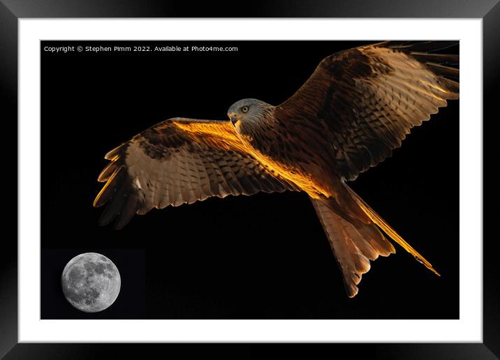 Red Kite above the Moon Framed Mounted Print by Stephen Pimm