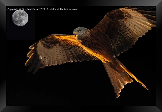 Red Kite Moon Above Framed Print by Stephen Pimm