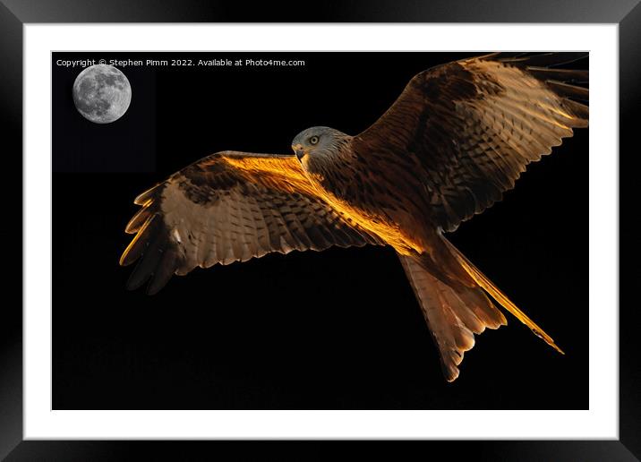 Red Kite Moon Above Framed Mounted Print by Stephen Pimm