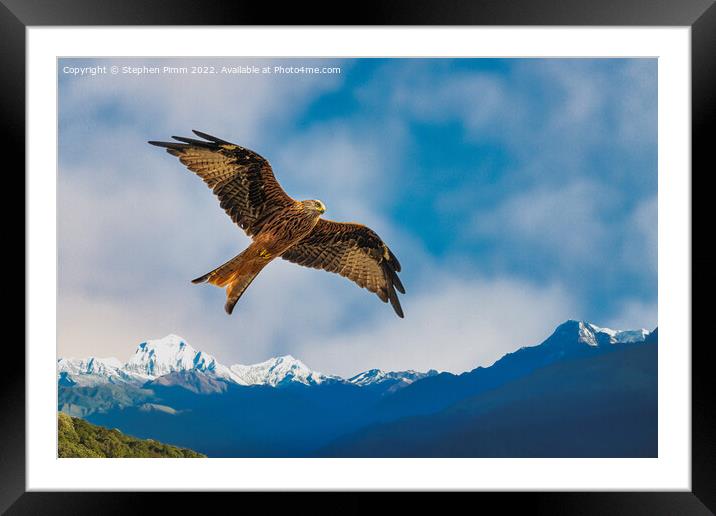 Red Kite Mountains Framed Mounted Print by Stephen Pimm