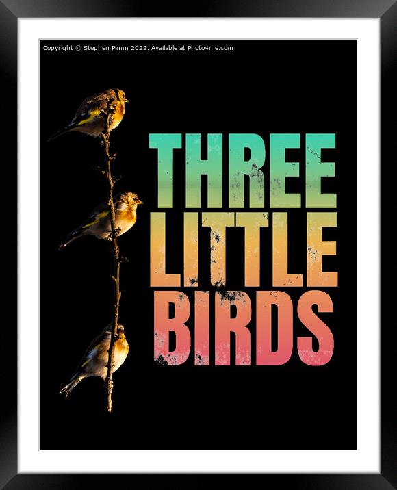 Three Little Birds Framed Mounted Print by Stephen Pimm
