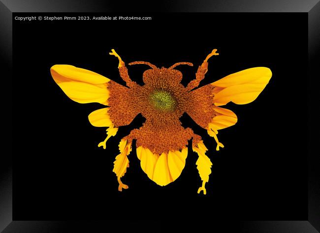 Sunflower Bee Silhouette Framed Print by Stephen Pimm