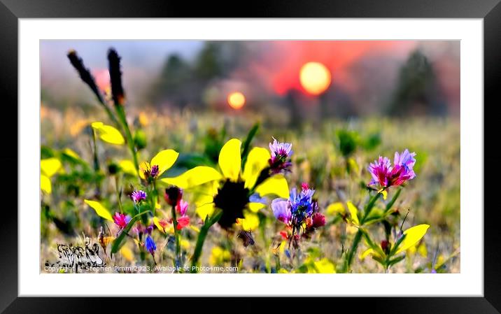 AI Flower Meadow Framed Mounted Print by Stephen Pimm