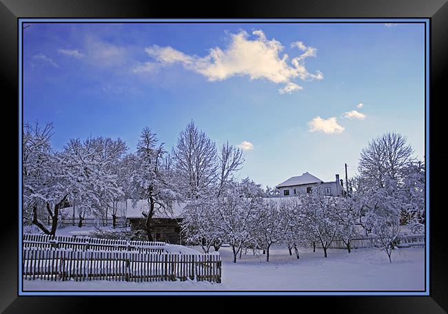 Winter Rime Framed Print by Ciobanu Razvan