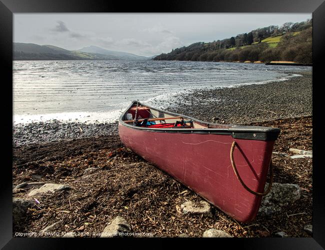End of the paddle Framed Print by DAVID JONES