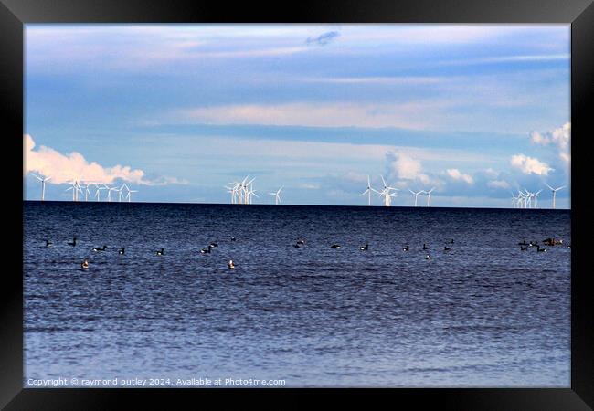 Minster-on-sea Wind farms  Framed Print by Ray Putley