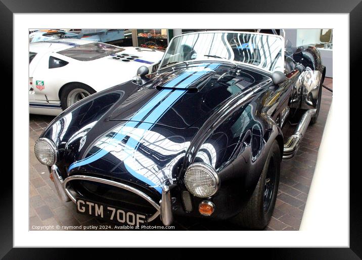 AC Cobra  Framed Mounted Print by Ray Putley