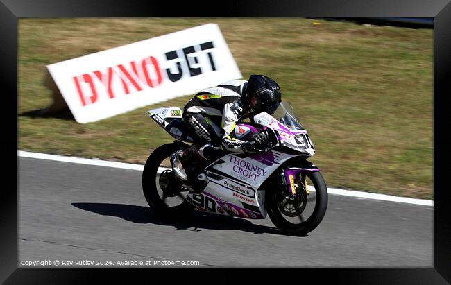 Honda British Talent Cup. Framed Print by Ray Putley