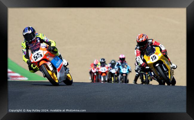 Honda British Talent Cup. Framed Print by Ray Putley