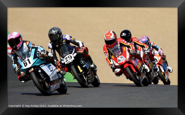 Honda British Talent Cup. Framed Print by Ray Putley