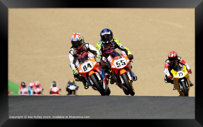 Honda British Talent Cup. Framed Print by Ray Putley