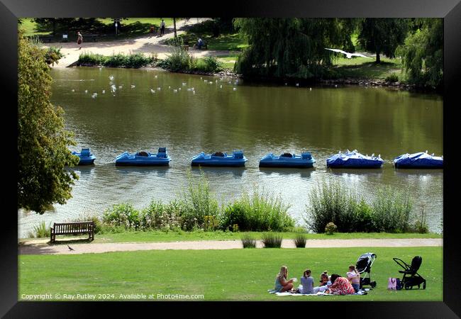 Dunorlan Park – England, UK. Framed Print by Ray Putley