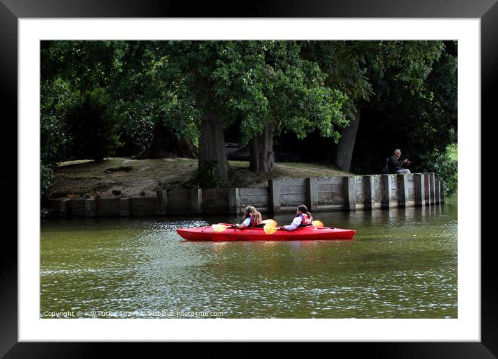 Dunorlan Park – England, UK. Framed Mounted Print by Ray Putley