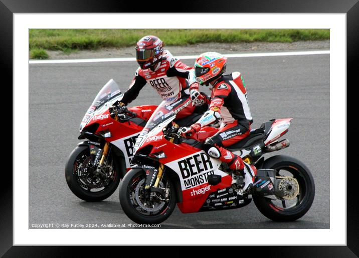 British Superbikes Racing. Framed Mounted Print by Ray Putley