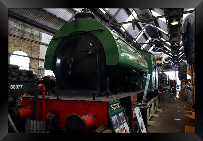 Spa Valley Railway Framed Print by Ray Putley