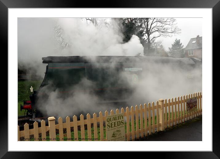 Spa Valley Railway Framed Mounted Print by Ray Putley