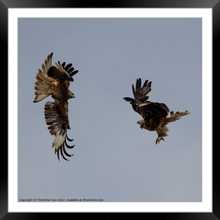 Red kites playing on a grey day Framed Mounted Print by TheOther Kev