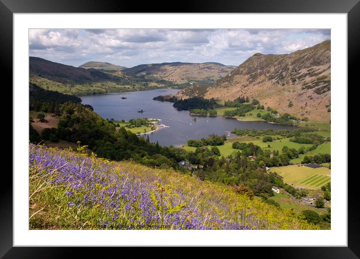 Bluebell Bliss on Ullswater Framed Mounted Print by Richard North