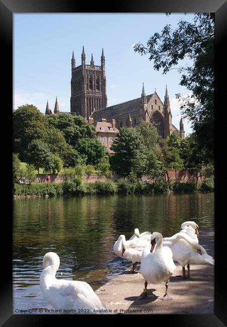 Majestic Worcester Cathedral on the River Severn Framed Print by Richard North