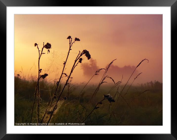 Day Breaking Framed Mounted Print by Maciej Czuchra