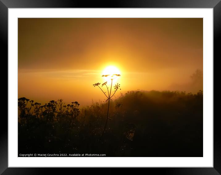 The Sun Rising Over Grasslands Framed Mounted Print by Maciej Czuchra