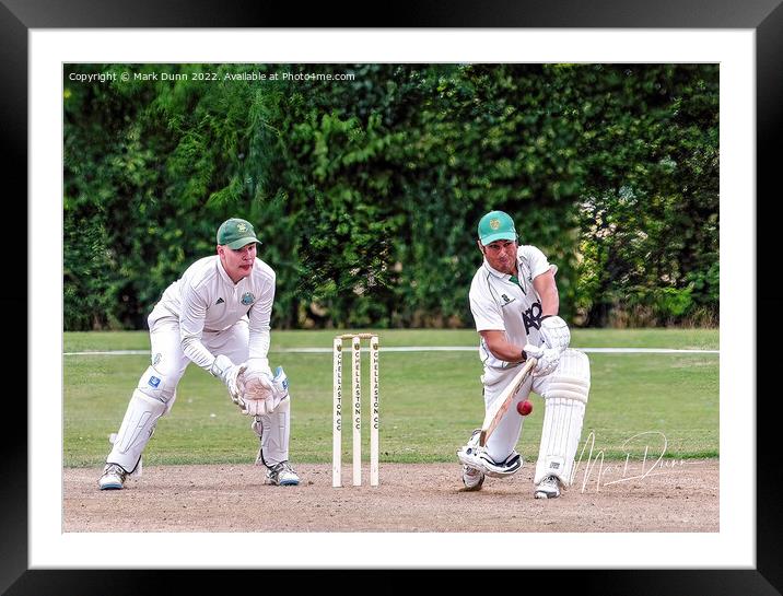 Cricket batsman  Framed Mounted Print by Mark Dunn