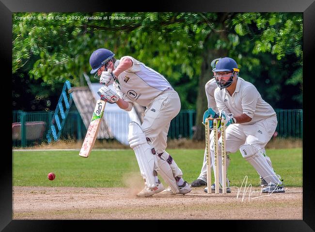 a cricket batsman  Framed Print by Mark Dunn