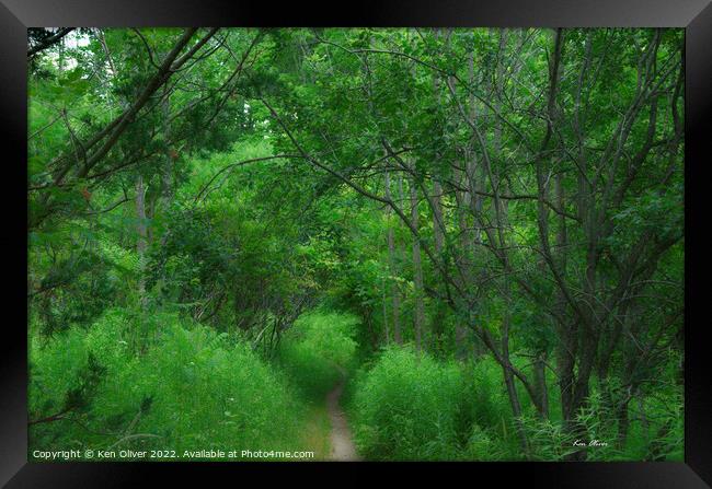 Enchanting Path through Verdant Forest Framed Print by Ken Oliver