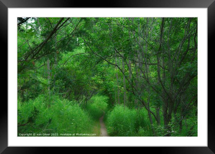 Enchanting Path through Verdant Forest Framed Mounted Print by Ken Oliver