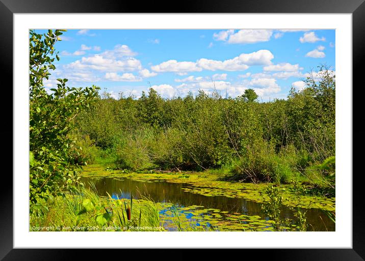 Serene Reflections of Lily Lake Framed Mounted Print by Ken Oliver