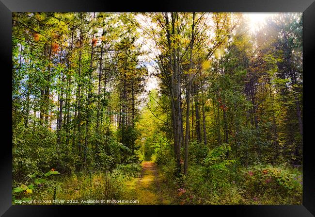Enchanting Autumn Path Framed Print by Ken Oliver
