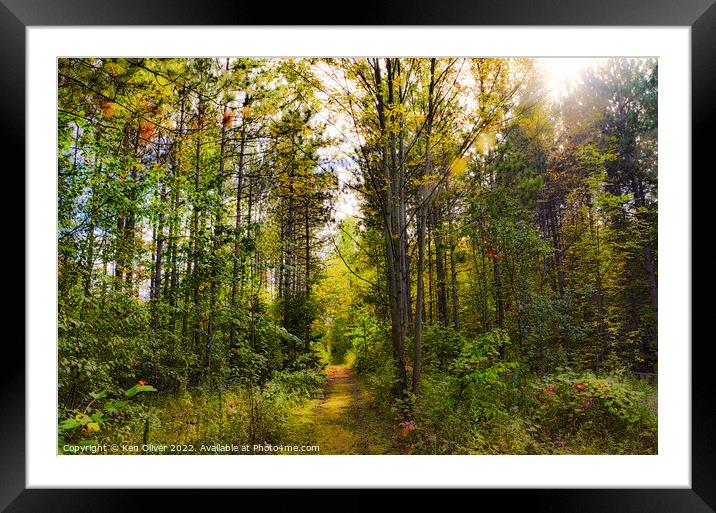 Enchanting Autumn Path Framed Mounted Print by Ken Oliver