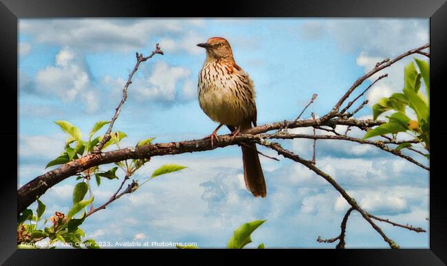 "Aerial Serenade" Framed Print by Ken Oliver