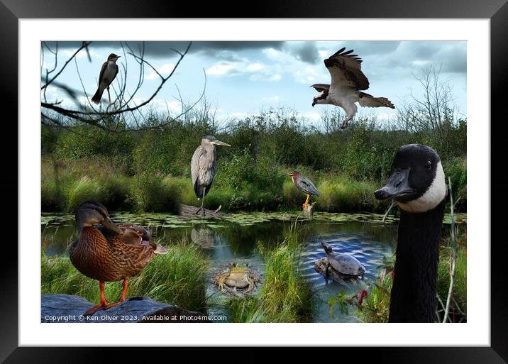 Wetlands Gathering of Animals Framed Mounted Print by Ken Oliver