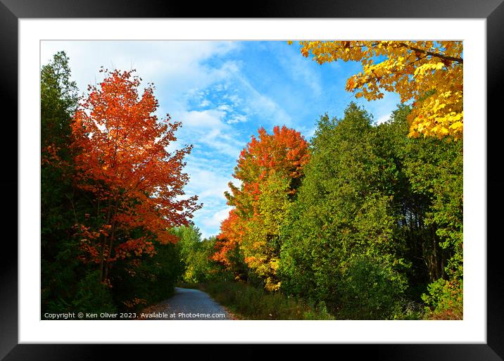 Vibrant Autumn Color Framed Mounted Print by Ken Oliver