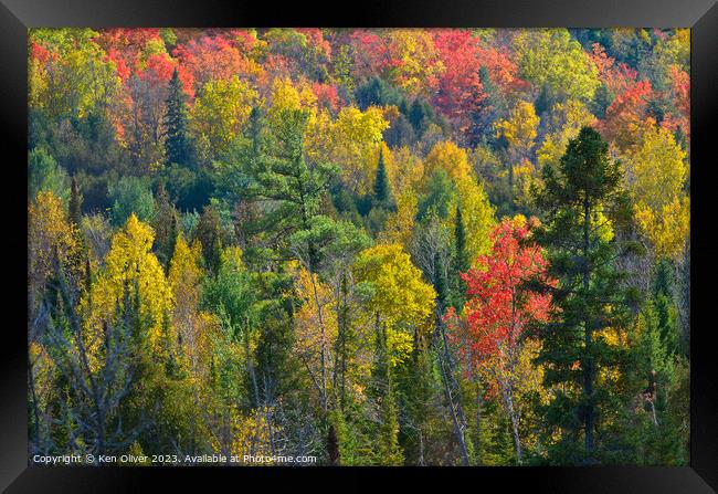 Autumn in Full Color Framed Print by Ken Oliver